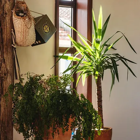 Surf Camp Hytte Maceda