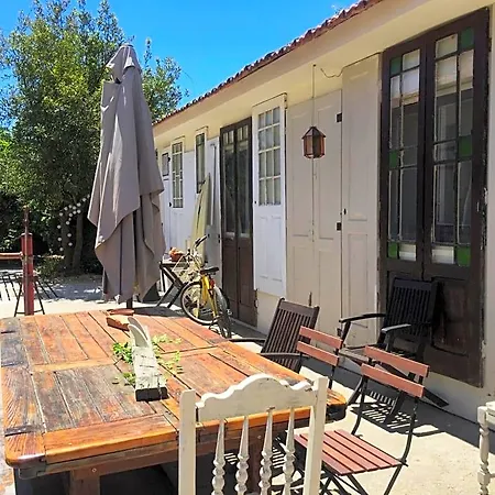 Surf Camp אכסניה