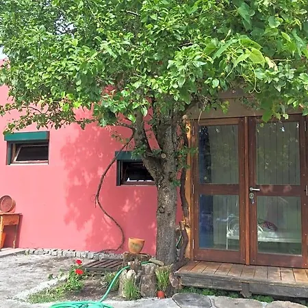 אכסניה Surf Camp