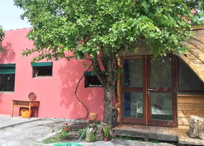 Surf Camp 山林小屋