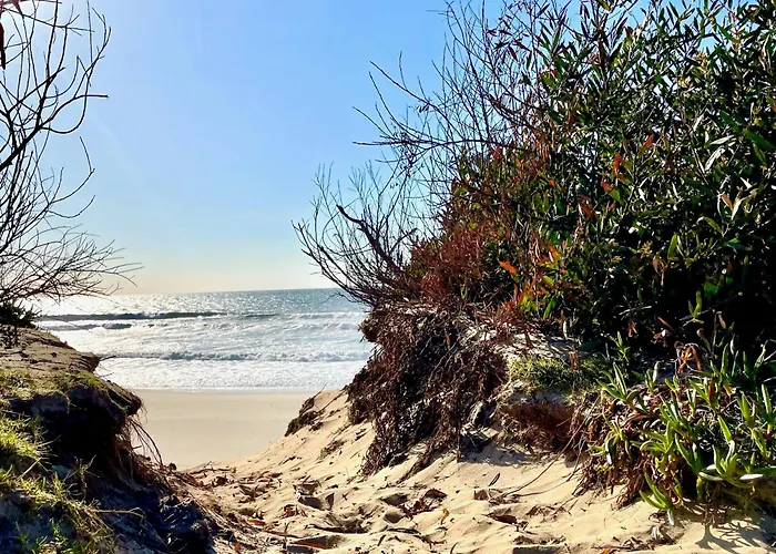 山林小屋 Surf Camp *