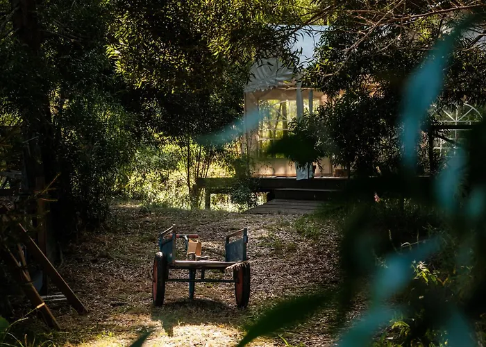 Surf Camp 山林小屋